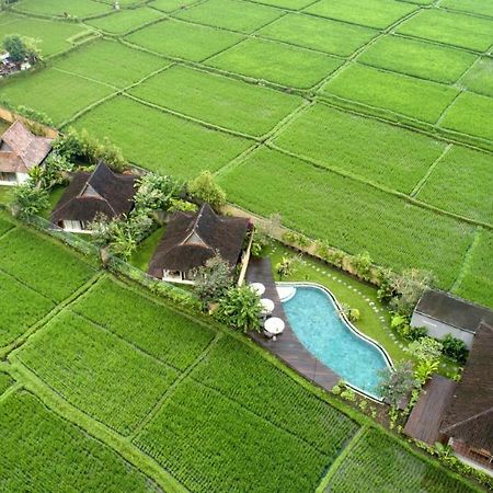 Kabinawa Ubud Villas By Pramana Villas Kültér fotó