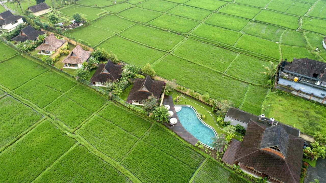 Kabinawa Ubud Villas By Pramana Villas Kültér fotó